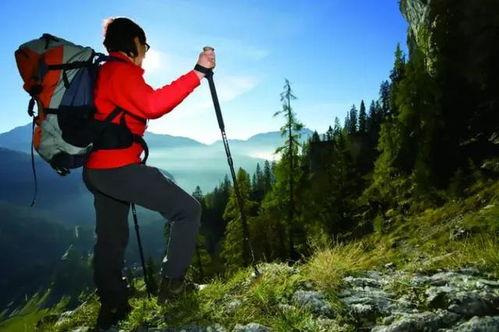 户外爬山吃瓜视频下载,跟随吃瓜视频一起享受清凉夏日