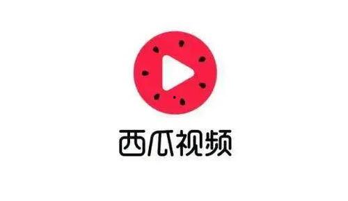 没有吃瓜只有西瓜视频了,西瓜视频一统江湖