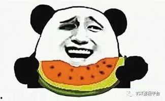 吃瓜段子故事背景视频,揭秘吃瓜段子背后的故事