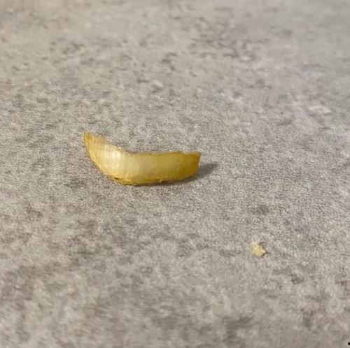 吃指甲盖的瓜视频,网络奇观背后的心理与社会现象