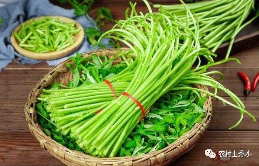 蒿妈吃瓜视频,揭秘娱乐圈幕后真相