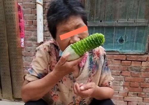 奶奶吃瓜视频,趣味横生的晚年生活瞬间